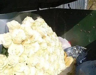 Необычные находки на контейнерных площадках Архангельской области