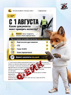 Проверка европротокола: мифы и реальные требования для водителей