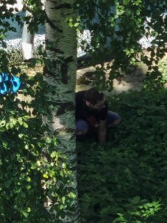 В Архангельске мужчина в течение нескольких минут сидел на улице, перекрестился и ушёл с синей папкой